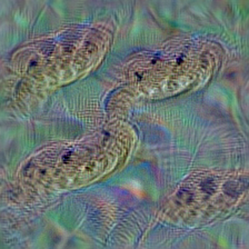n01755581 diamondback, diamondback rattlesnake, Crotalus adamanteus